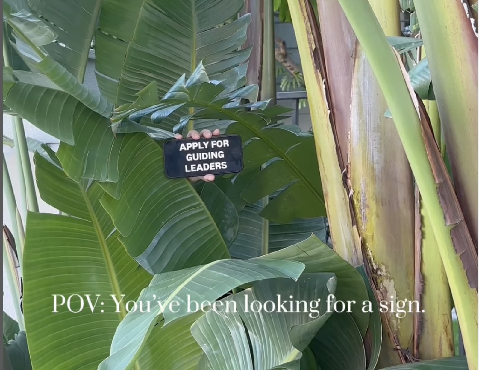 Application video trend reel, first in series