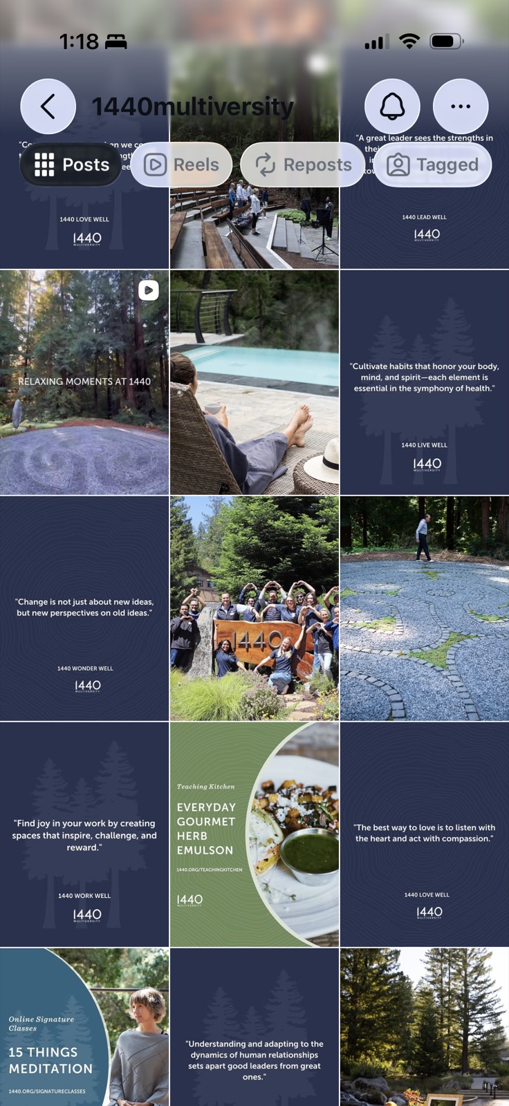 1440 Multiversity Instagram feed before the refresh