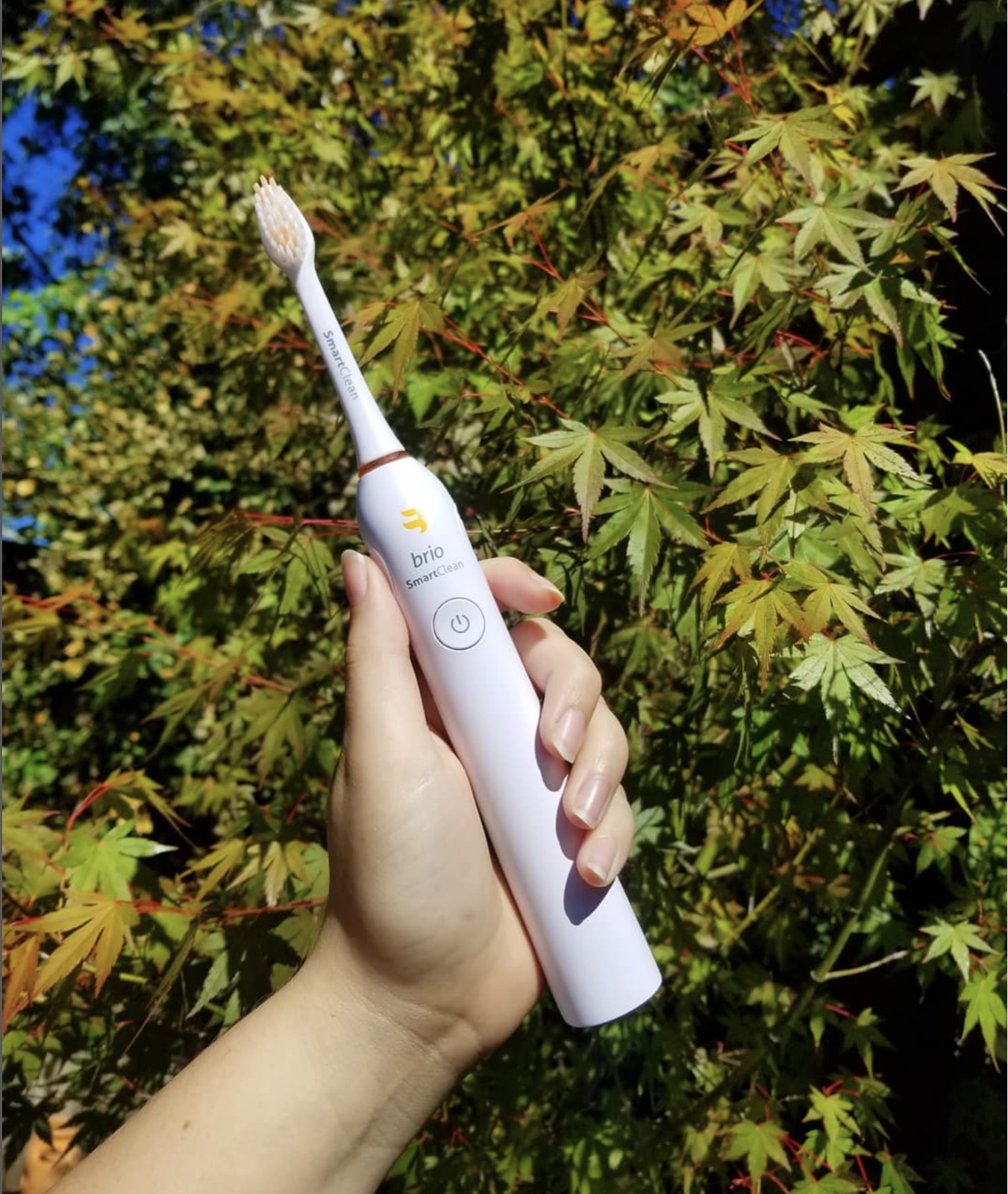 Brio electric toothbrush giveaway post