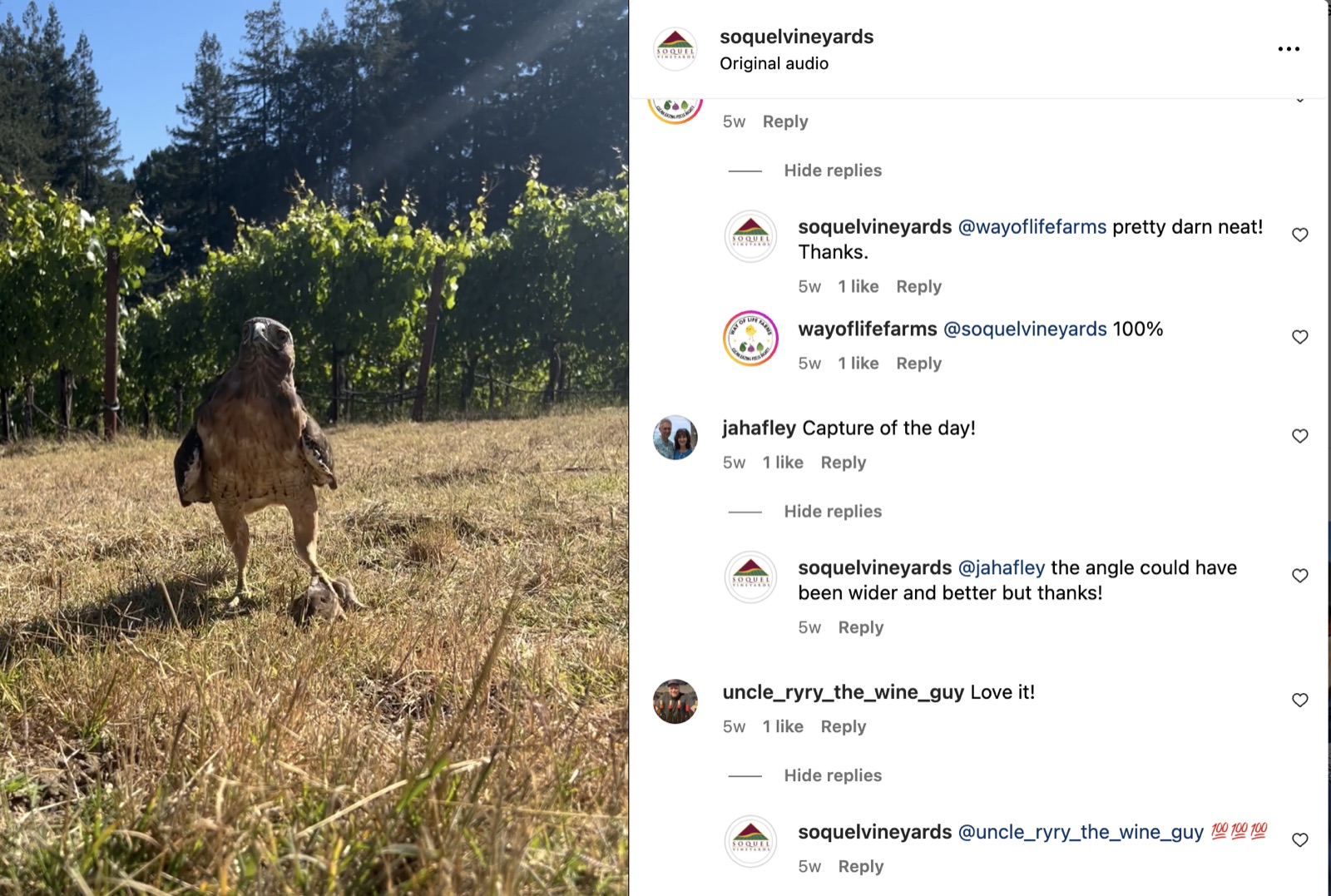 Instagram comments section after, with the winery replying to many customers