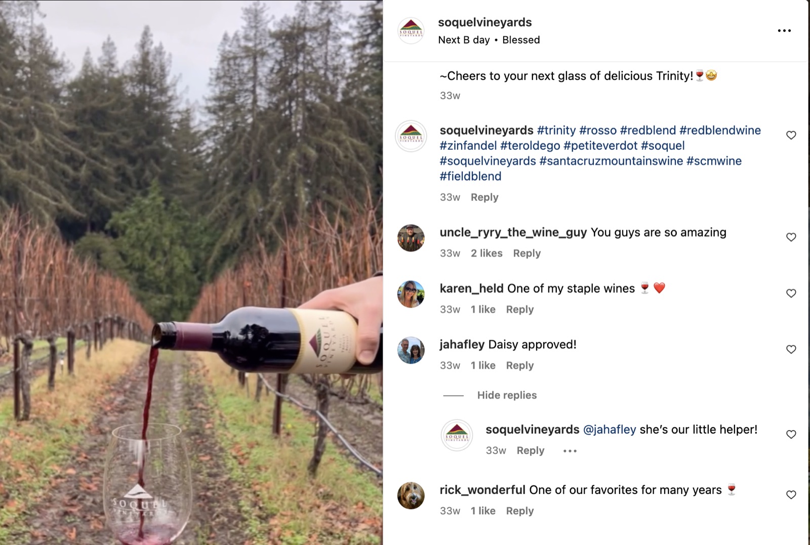 Instagram comments section before, with few replies from the winery